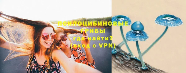 мяу мяу мука Алексеевка