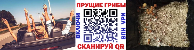 Галлюциногенные грибы ЛСД где купить наркоту Ленинск-Кузнецкий
